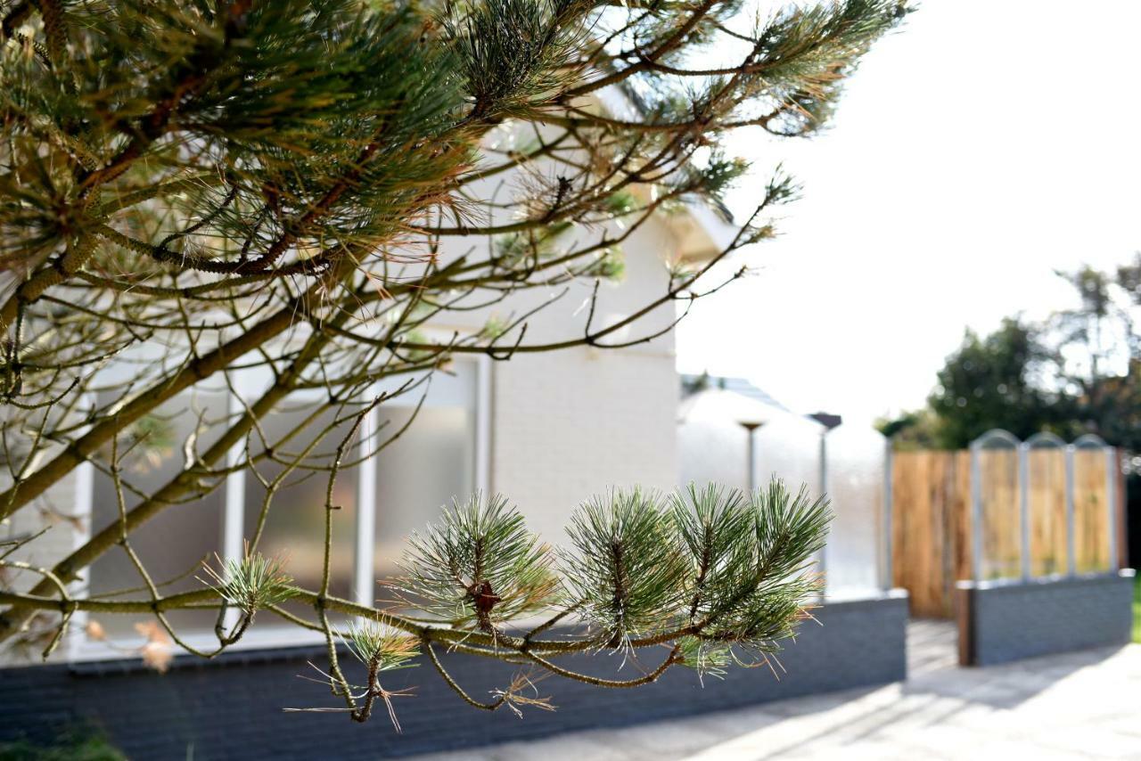 Beachhouse Bosweg Noordwijk Exteriér fotografie
